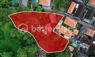 Prime 20-Are Land in Padonan, Canggu – Ideal for Investment