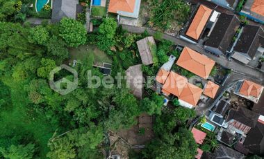 Prime 20-Are Land in Padonan, Canggu – Ideal for Investment