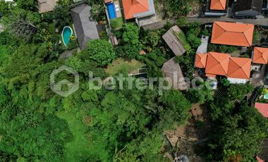 Prime 20-Are Land in Padonan, Canggu – Ideal for Investment