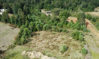 Se venden parcelas de 5.000m2 a 5 km de Lipingue, Los Lagos