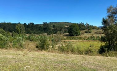 Se venden parcelas de 5.000m2 a 5 km de Lipingue, Los Lagos