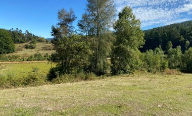 Se venden parcelas de 5.000m2 a 5 km de Lipingue, Los Lagos