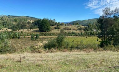 Se venden parcelas de 5.000m2 a 5 km de Lipingue, Los Lagos