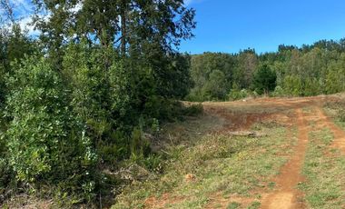 Se venden parcelas de 5.000m2 a 5 km de Lipingue, Los Lagos