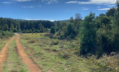 Se venden parcelas de 5.000m2 a 5 km de Lipingue, Los Lagos