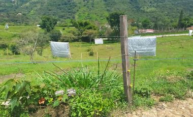 EXCELENTE OPORTUNIDAD LOTES  EN VENTA MIRADOR DEL BOSQUE SILVANIA