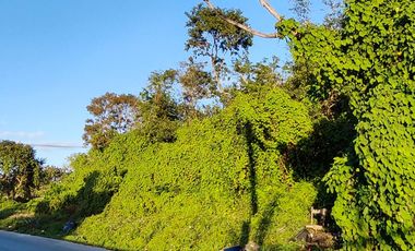 Terreno Agence