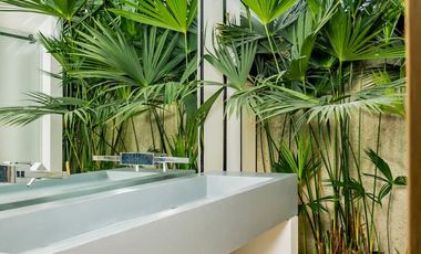 ALQUILO LINDA FINCA EL FAISAN LLAMANOS AL3246456224 LOS ESPERAMOS VEN A COMPARTIR EN FAMILIA..