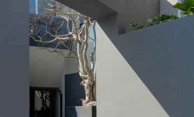 🏢 Departamento en Renta en Vento Park en San Bernardino Tlaxcalancingo 🏢🏠