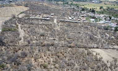 Terreno Chapala - Cesión de derechos Litigiosos