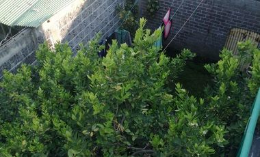 Venta de casa en muy buenas condiciones, Tlalmanalco.