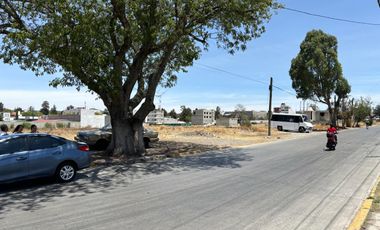 Terreno plano en Venta en Centro de Jilotepec Estado de Mexico