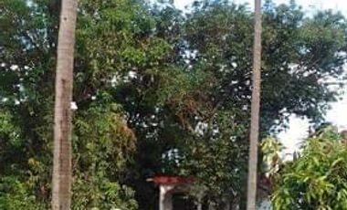Se vende Casa de campo / Huerta en Coahuixtla, Morelos!!