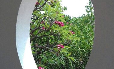Se vende Casa de campo / Huerta en Coahuixtla, Morelos!!
