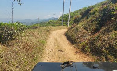 Tanah Potensi Wisata Air Terjun & Kebun Teh seluas 73 Ha di Puncak Mulya, Pangalengan. Propinsi Jawa Barat