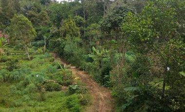 10 Tumbak Tanah Kavling di Mekarjaya, Cikalong Wetan, Bandung Barat.