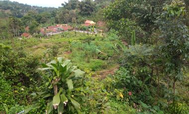 10 Tumbak Tanah Kavling di Mekarjaya, Cikalong Wetan, Bandung Barat.