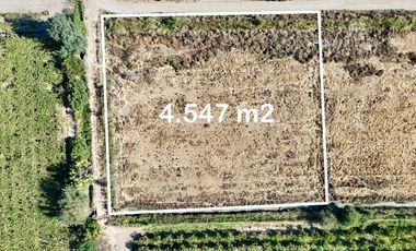 SAN FELIPE - VENDE TERRENO 4.547m2 - BUCALEMU