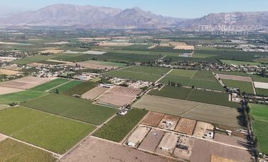 SAN FELIPE - VENDE TERRENO 4.547m2 - BUCALEMU