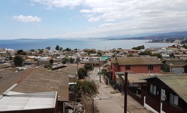 Concón, Av. Concón-Reñaca, amplia oficina o local comercial 100 M2