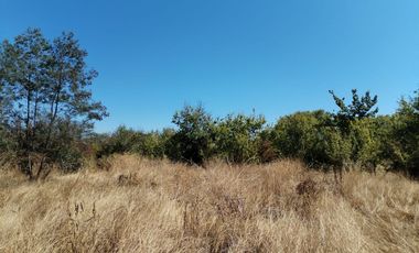 Hermosa parcela a 25 min de Talca.