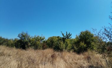 Hermosa parcela a 25 min de Talca.