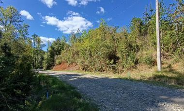 Se vende parcela con Rol, 5000 m2, santa Elvira, a 25 min de  Valdivia