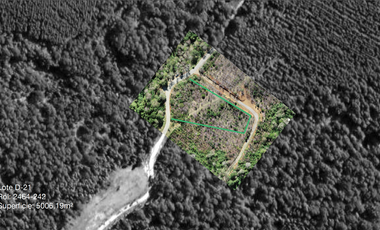 Se vende parcela con Rol, 5000 m2, santa Elvira, a 25 min de  Valdivia