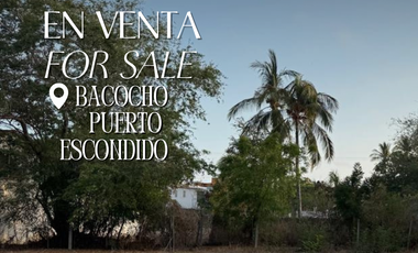 LOTE EN VENTA EN BACOCHO