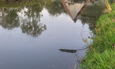 GRAN CABAÑA EN VENTA, CON LAGO PROPIO...