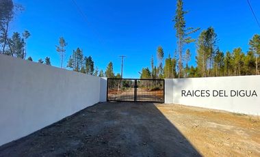 PARCELAS EN PARRAL, 5000M2, RAÍCES DEL DIGUA, AUTORIZADO SAG, AGUA POTABLE Y LUZ