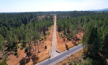 PARCELAS EN PARRAL, 5000M2, RAÍCES DEL DIGUA, AUTORIZADO SAG, AGUA POTABLE Y LUZ