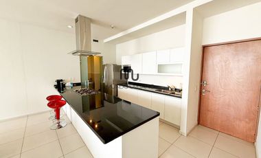 Departamento en Renta Carso Nuevo Polanco y Granada Torre Rodin