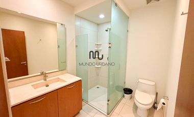 Departamento en Renta Carso Nuevo Polanco y Granada Torre Rodin