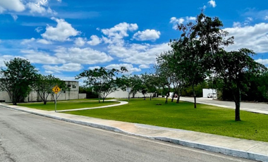 Venta de terreno en fraccionamiento en Mérida con amenidades y financiamiento