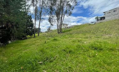 Venta de terreno amplio- sector Carmen de Sinincay