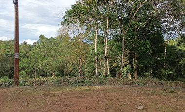 VENTA TERRENO URBANIZACIÓN BALCONES DE ALCALÁ EN PEDRO VICENTE MALDONADO FRENTE A LA URBANIZACIÓN CASCADA AZÚL