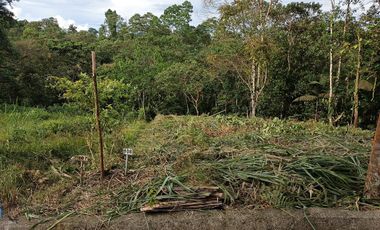 VENTA TERRENO URBANIZACIÓN BALCONES DE ALCALÁ EN PEDRO VICENTE MALDONADO FRENTE A LA URBANIZACIÓN CASCADA AZÚL
