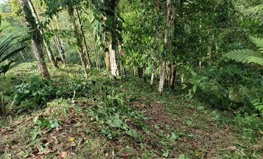 VENTA TERRENO URBANIZACIÓN BALCONES DE ALCALÁ EN PEDRO VICENTE MALDONADO FRENTE A LA URBANIZACIÓN CASCADA AZÚL
