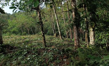 VENTA TERRENO URBANIZACIÓN BALCONES DE ALCALÁ EN PEDRO VICENTE MALDONADO FRENTE A LA URBANIZACIÓN CASCADA AZÚL