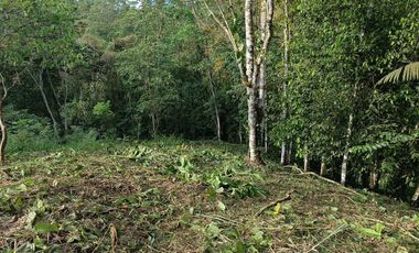 VENTA TERRENO URBANIZACIÓN BALCONES DE ALCALÁ EN PEDRO VICENTE MALDONADO FRENTE A LA URBANIZACIÓN CASCADA AZÚL