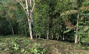 VENTA TERRENO URBANIZACIÓN BALCONES DE ALCALÁ EN PEDRO VICENTE MALDONADO FRENTE A LA URBANIZACIÓN CASCADA AZÚL