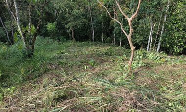 VENTA TERRENO URBANIZACIÓN BALCONES DE ALCALÁ EN PEDRO VICENTE MALDONADO FRENTE A LA URBANIZACIÓN CASCADA AZÚL