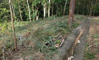 VENTA TERRENO URBANIZACIÓN BALCONES DE ALCALÁ EN PEDRO VICENTE MALDONADO FRENTE A LA URBANIZACIÓN CASCADA AZÚL