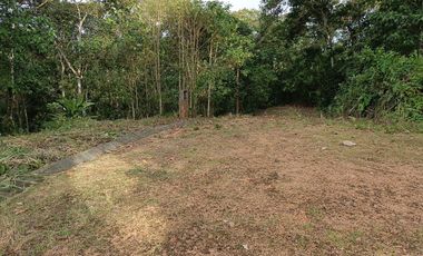 VENTA TERRENO URBANIZACIÓN BALCONES DE ALCALÁ EN PEDRO VICENTE MALDONADO FRENTE A LA URBANIZACIÓN CASCADA AZÚL