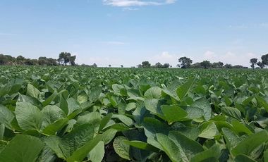 Terreno en venta en General López, Chovet