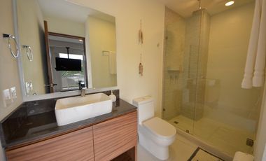 RENTA ESTUDIO BUCERIAS / 402B