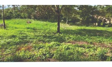 Vendo Lote para ESTACIÓN de GASOLINA,  Sobre la Vía que  Conduce de  CAMPOALEGRE a NEIVA.