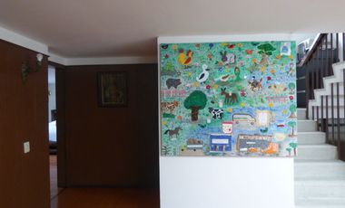 VENTA CASA GRAN AMERICA TEUSAQUILLO