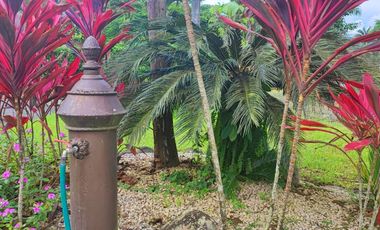 Venta Finca en Bucay Hacienda San Rafael - Rancho - F31